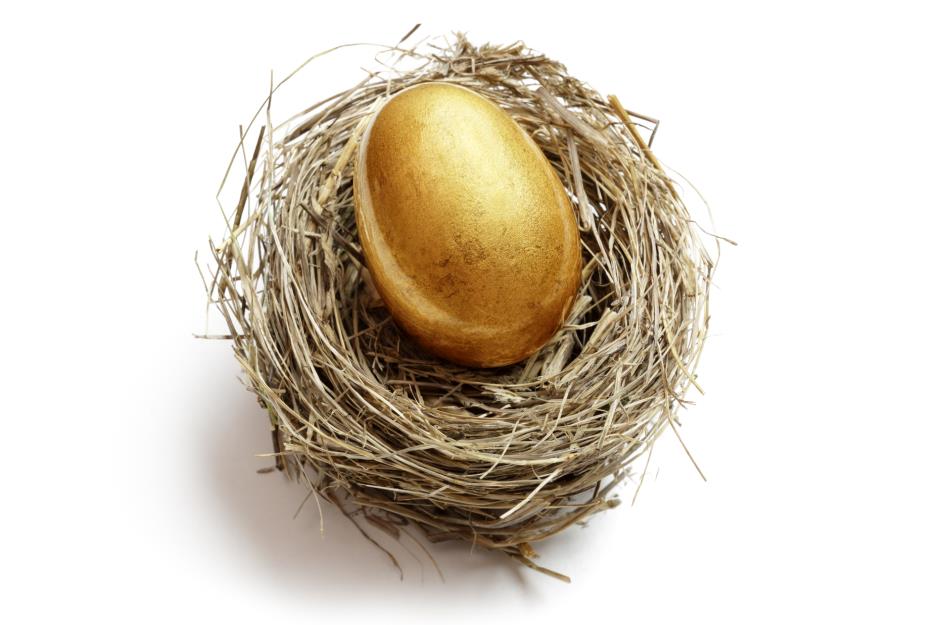 Use your own nest egg